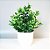 Arranjo Artificial Com Verdinho Com Vaso Home Office Prateleira Decoração - Imagem 11