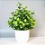 Arranjo Artificial Com Verdinho Com Vaso Home Office Prateleira Decoração - Imagem 21