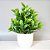 Arranjo Artificial Com Verdinho Com Vaso Home Office Prateleira Decoração - Imagem 20