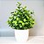 Arranjo Artificial Com Verdinho Com Vaso Home Office Prateleira Decoração - Imagem 7