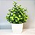Arranjo Artificial Com Verdinho Com Vaso Home Office Prateleira Decoração - Imagem 14