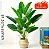 Planta Árvore Artificial Bananeira 18 Folhas 82cm - Imagem 14