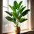 Planta Árvore Artificial Bananeira 18 Folhas 82cm - Imagem 3