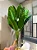 Planta Árvore Artificial Bananeira 18 Folhas 82cm - Imagem 13
