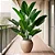 Planta Árvore Artificial Bananeira 18 Folhas 82cm - Imagem 7