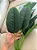 Planta Árvore Artificial Bananeira 18 Folhas 82cm - Imagem 11