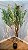 Planta Artificial Árvore Oliveira 2,0m X 1,20m Mod. 1010 - Imagem 1