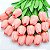 Kit de Tulipas com 10 peças Flor Artificial Real Toque Realista Buquê - Imagem 11
