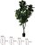 Planta Artificial Arvore Ficus Lyrata Real Toque C/Pote X213 Verde 2.3m - Imagem 2