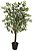 Planta Artificial Arvore Ficus C/Pote X420 Verde Creme 1,20m - Imagem 1
