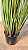 Planta Artificial Arvore Folhagem Grass Papiro C/Print C/Pote X9 Verde 1,23m - Imagem 9