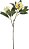 Planta Artificial Haste Plumeria Real Toque X14 Branco Amarelo 86cm - Imagem 1