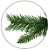 Planta Artificial Arvore Natal New Michigan 670 Tips C/Base Metal Verde 1.8m - Imagem 2