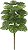Planta Artificial Arvore Costela De Adao Real Toque X24 Verde 1.2m - Imagem 1