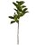 Planta Artificial Galho Ficus Elástica Real Toque X29 (verde) 1,05m - Imagem 1
