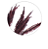 Planta Artificial Galho Grass C/Flocked X80 (marsala) 80cm - Imagem 2