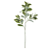 Planta Artificial Galho Clusia Real Toque X47 (verde creme) 75cm - Imagem 1