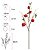 Planta Artificial Galho Fruta X5 (vermelho 2T) 80cm - Imagem 1