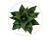 Planta Artificial Folhagem Agave C/Print Plástico X21 (verde) 45cm - Imagem 3