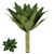 Planta Artificial Folhagem Agave C/Print Plástico X21 (verde) 45cm - Imagem 1