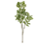 Planta Artificial Cajazeira Real Toque X682 (verde) 1,95m - Imagem 1