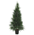 Planta Artificial Pinheiro C/Pote X679 (verde) 1,2m - Imagem 1