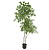 Planta Artificial Ficus Real Toque C/Pote X808 (verde) 1,4m - Imagem 1