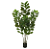 Planta Artificial Ficus Lyarata Real Toque C/Pote X142 (verde) 1,75m - Imagem 1