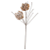 Planta Artificial Haster Protea Eva X2 (bege) 1m - Imagem 1