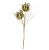 Planta Artificial Haster Protea Eva X2 (verde) 1m - Imagem 1