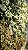 Jardim Vertical Montado Outono 110x100cm Mod. 310826 - Imagem 9