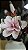 Arranjo Artificial Magnolia Vaso de Ferro Bege 55cm - Imagem 4