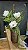 Arranjo Magnolia Eucalipto Vaso Marrom Tamanho G 80cm - Imagem 3