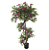 Planta Artificilal Arvore Bougaiville C/Pote X270 (fucsia) 1,5m - Imagem 1