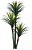 Planta Árvore Artificial Yucca 3 Troncos Verde Escuro 1,7m - Imagem 1