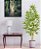 Planta Artificial Árvore Bambu Real Toque - 1,20 M - Imagem 2