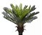 Planta Árvore Artificial Palmeira Cycas Verde 60cm - Imagem 1