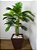 Planta Artificial Árvore Palmeira Areca - 1,10m - Imagem 2