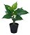 Planta Árvore Artificial Philo Real Toque Verde 30cm - Imagem 1