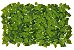 Folhagem Artificial Placa Jiboia Verde em 2 Tons 60x40cm - Imagem 1