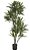 Planta Artifical A.Dracena Real Toque X238 (1,9m) - Imagem 1