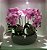 Arranjo de 4 Orquídeas de Silicone rosa com Vaso Bacia de Cerâmica na cor cinza - Imagem 1