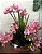 Arranjo de Orquídeas de Silicone rosa + Folhagens com Vaso Cromado de Vidro Rosé - Imagem 1