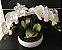 Arranjo de 4 Orquídeas artificiais brancas em vaso de Cerâmica - Imagem 1