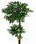 Planta Árvore Artificial Rucos Verde 1,1m - Imagem 1