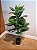 Planta Artificial A.Ficus Lyrata Real Toque X42 (1m) - Imagem 4