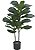 Planta Artificial A.Ficus Lyrata Real Toque X42 (1m) - Imagem 1