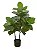 Planta Árvore Artificial Ficus Elástica Real Toque Verde 1m - Imagem 1