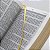BIBLIA ESTUDO JOYCE MAYER DOURADO - Imagem 2