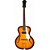 Guitarra Semi-Acústica Epiphone Century 1966 Aged Gloss - Imagem 2